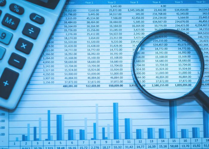 Business Financial Analysis